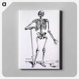 アートパネル-Anatomical Skeleton
 - 国立医学図書館 Canvas.