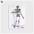 アートポストカード-Anatomical Skeleton
 - 国立医学図書館 Postcard.