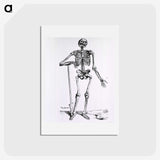1-17_National-Library-of-Medicine_hagaki