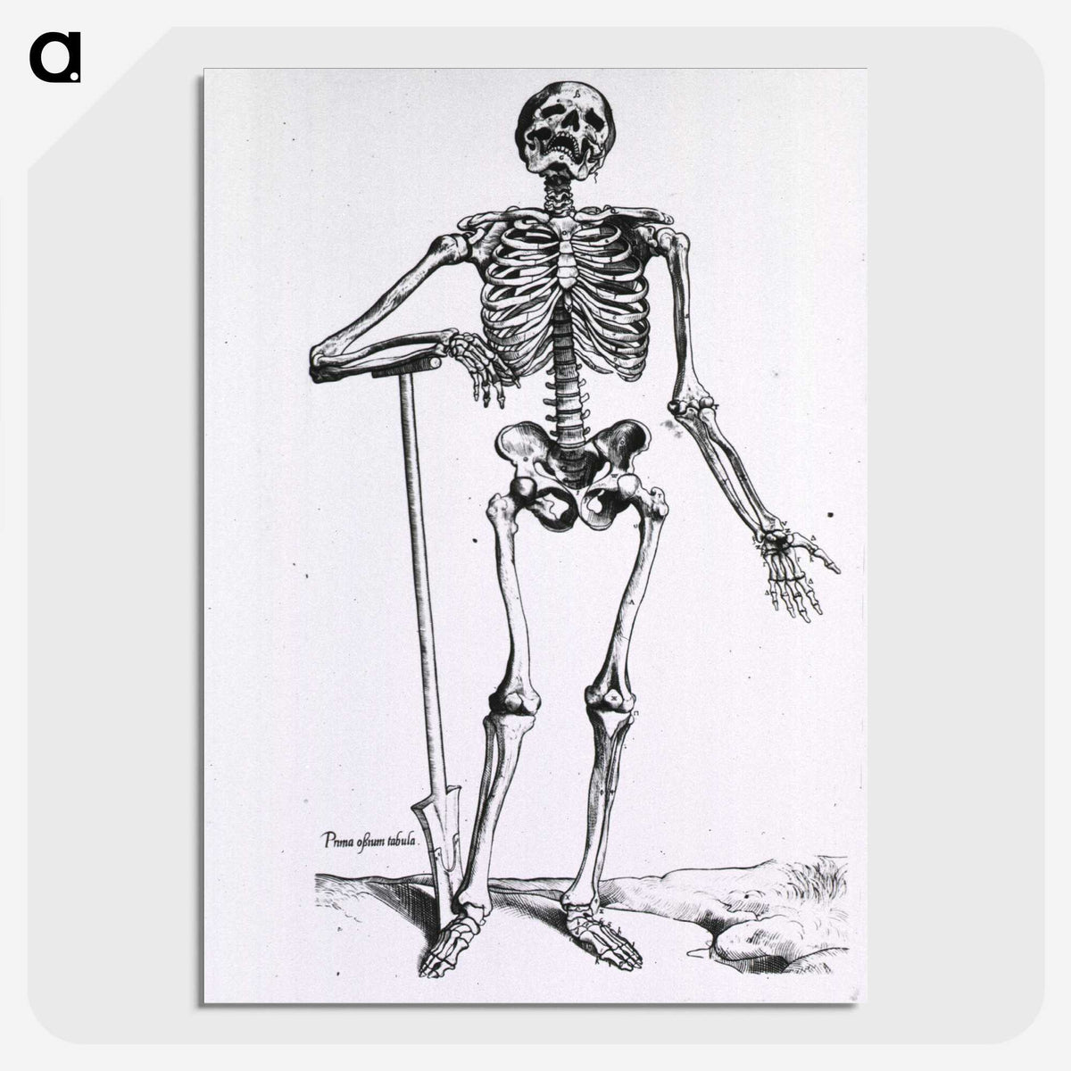 1-17_National-Library-of-Medicine_picture-crop