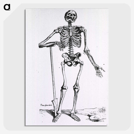 1-17_National-Library-of-Medicine_picture-crop