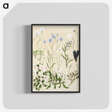 1-17_Native-Flowering-Plants-of-New-Zealand_blk-crop