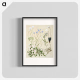1-17_Native-Flowering-Plants-of-New-Zealand_blk