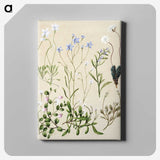 1-17_Native-Flowering-Plants-of-New-Zealand_canvas