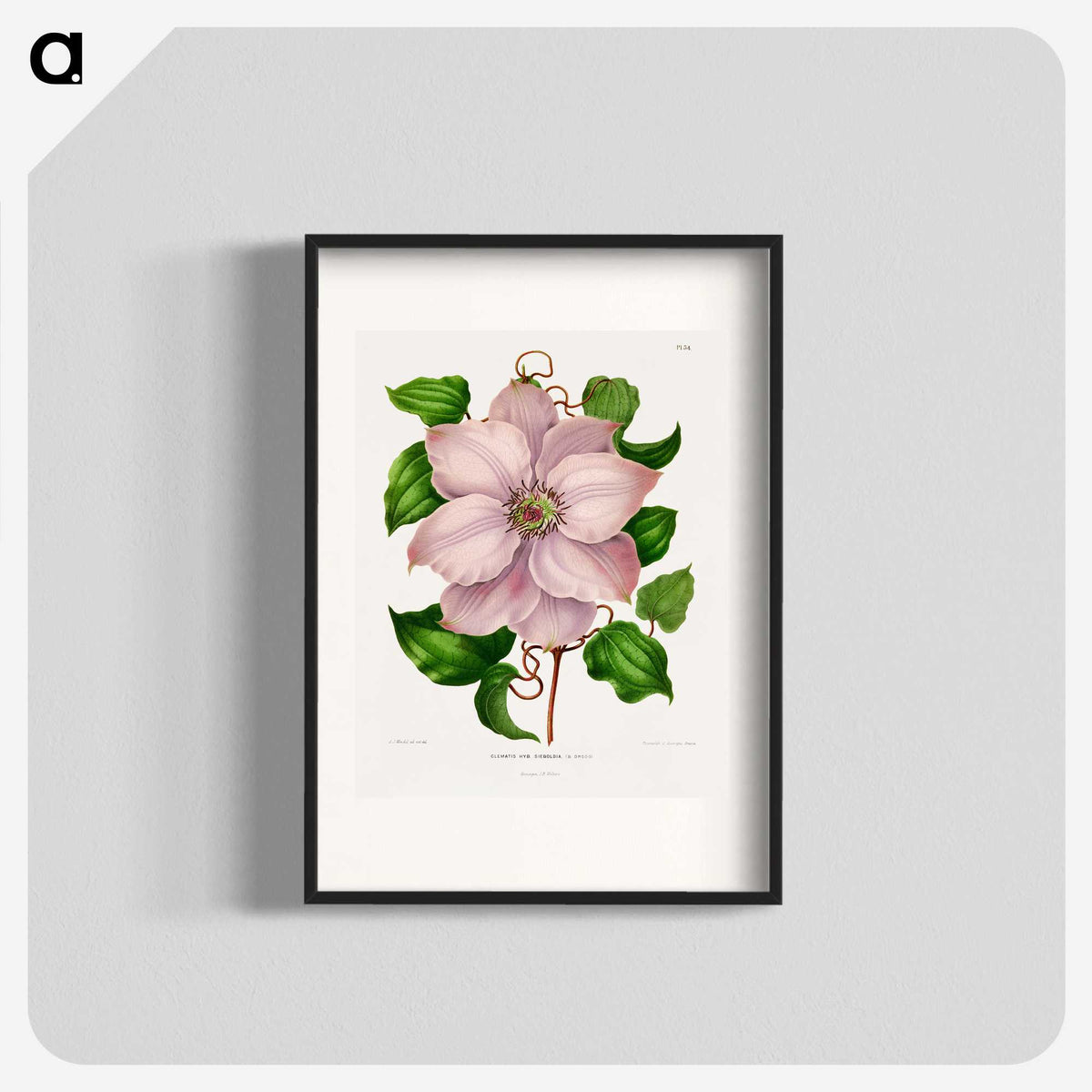 1-17_Nederlandsche-Flora-en-Pomona_blk