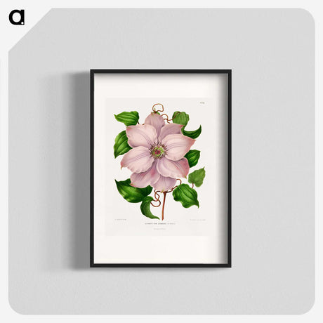 1-17_Nederlandsche-Flora-en-Pomona_blk