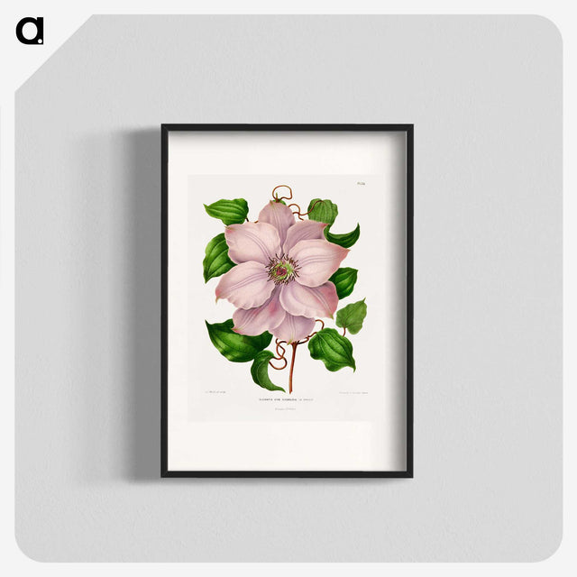 1-17_Nederlandsche-Flora-en-Pomona_blk