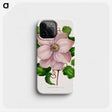 1-17_Nederlandsche-Flora-en-Pomona_phone