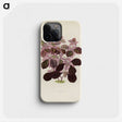 1-17_New-and-Rare-Beautiful-Leaved-Plants_phone