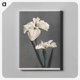 1-17_Ogawa-Kazumasa_canvas