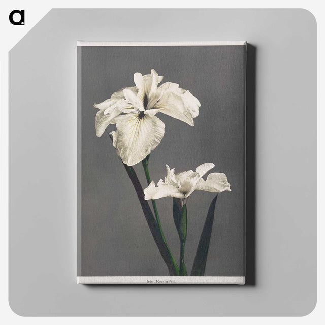 1-17_Ogawa-Kazumasa_canvas