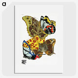 1-17_Papillons_picture