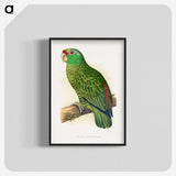 1-17_Parrots-in-Captivity_blk-crop