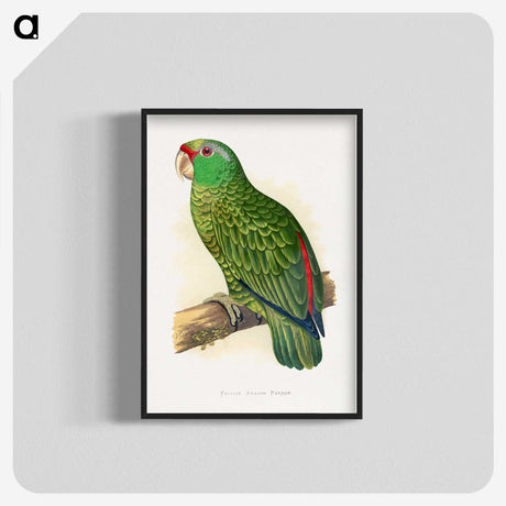 1-17_Parrots-in-Captivity_blk-crop