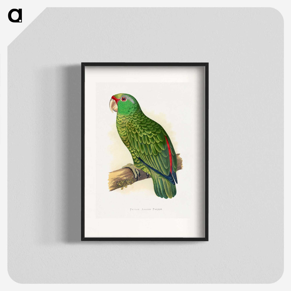1-17_Parrots-in-Captivity_blk