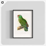 1-17_Parrots-in-Captivity_blk