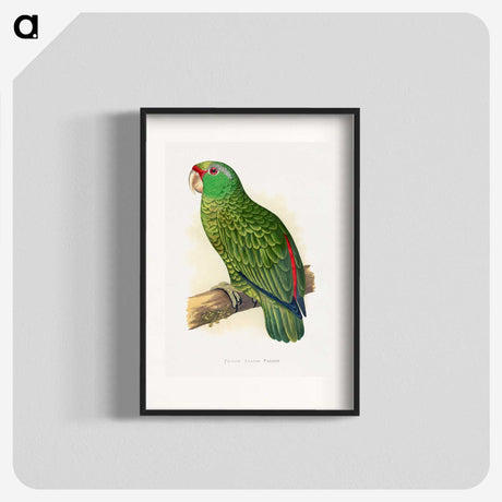 1-17_Parrots-in-Captivity_blk