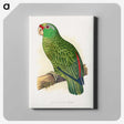 1-17_Parrots-in-Captivity_canvas