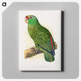 1-17_Parrots-in-Captivity_canvas