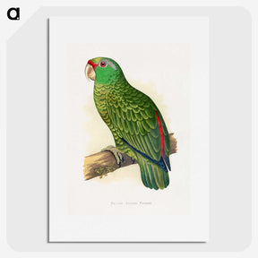 1-17_Parrots-in-Captivity_picture