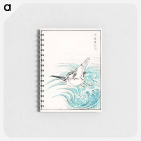 アートメモ帳-Mongolian Plover Illustration
 - 鳥類図鑑 Memo.