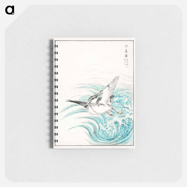 アートメモ帳-Mongolian Plover Illustration
 - 鳥類図鑑 Memo.