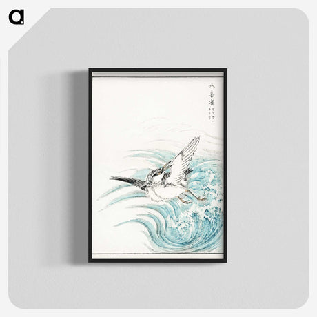 1-17_Pictorial-Monograph-of-Birds_blk-crop