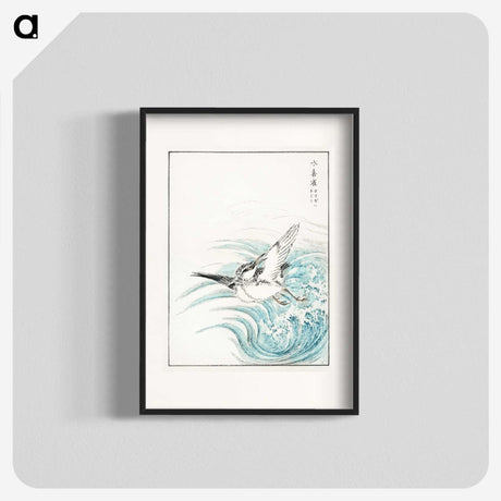 1-17_Pictorial-Monograph-of-Birds_blk