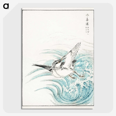 1-17_Pictorial-Monograph-of-Birds_picture-crop