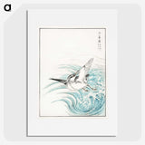 1-17_Pictorial-Monograph-of-Birds_picture