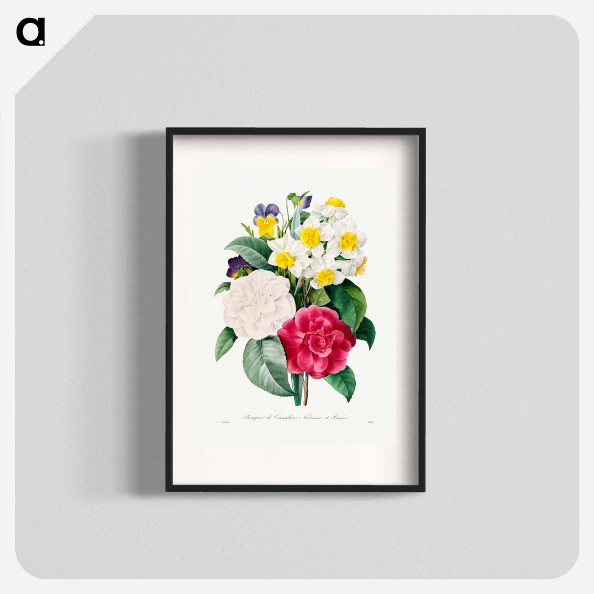 Camellia Narcissus and Pansy bouquet - ピエール ジョゼフ ルドゥーテ Poster.