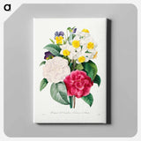 アートパネル-Camellia Narcissus and Pansy bouquet - ピエール ジョゼフ ルドゥーテ Canvas.