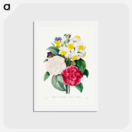 アートポストカード-Camellia Narcissus and Pansy bouquet - ピエール ジョゼフ ルドゥーテ Postcard.