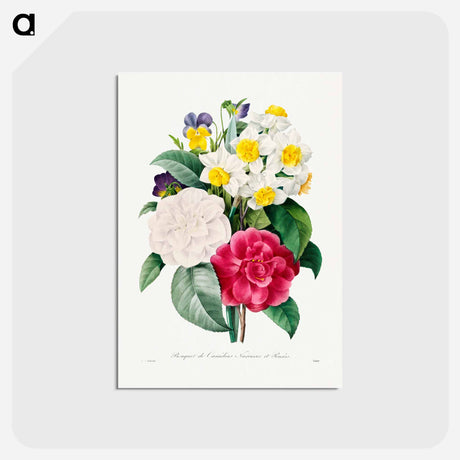 アートポストカード-Camellia Narcissus and Pansy bouquet - ピエール ジョゼフ ルドゥーテ Postcard.