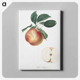 1-17_Pomona-Italiana_canvas