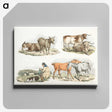 1-17_Sporting-Sketches_canvas