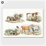 1-17_Sporting-Sketches_picture-crop