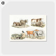 1-17_Sporting-Sketches_postcard
