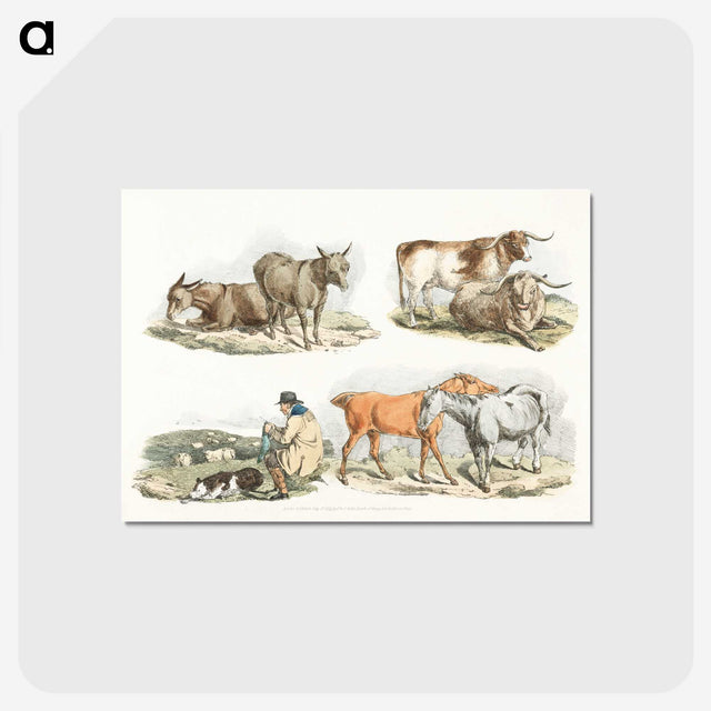 1-17_Sporting-Sketches_postcard