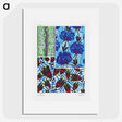 1-17_Suggestions-Pour-Etoffes-et-Tapis_picture
