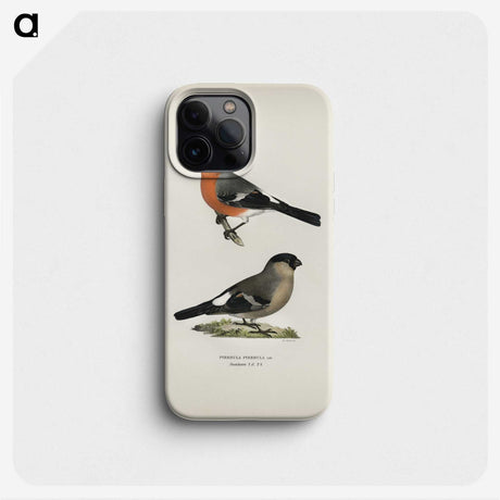 1-17_Svenska-Faglar_phone