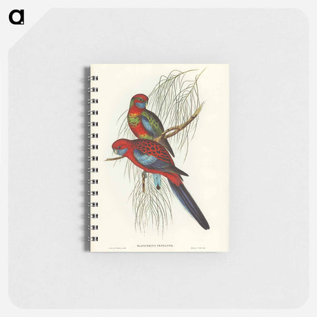 アートメモ帳-Pennant's Parakeet
 - オーストラリアの鳥 Memo.