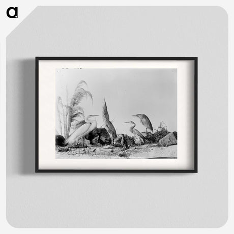 1-17_The-Burton-Brothers_blk