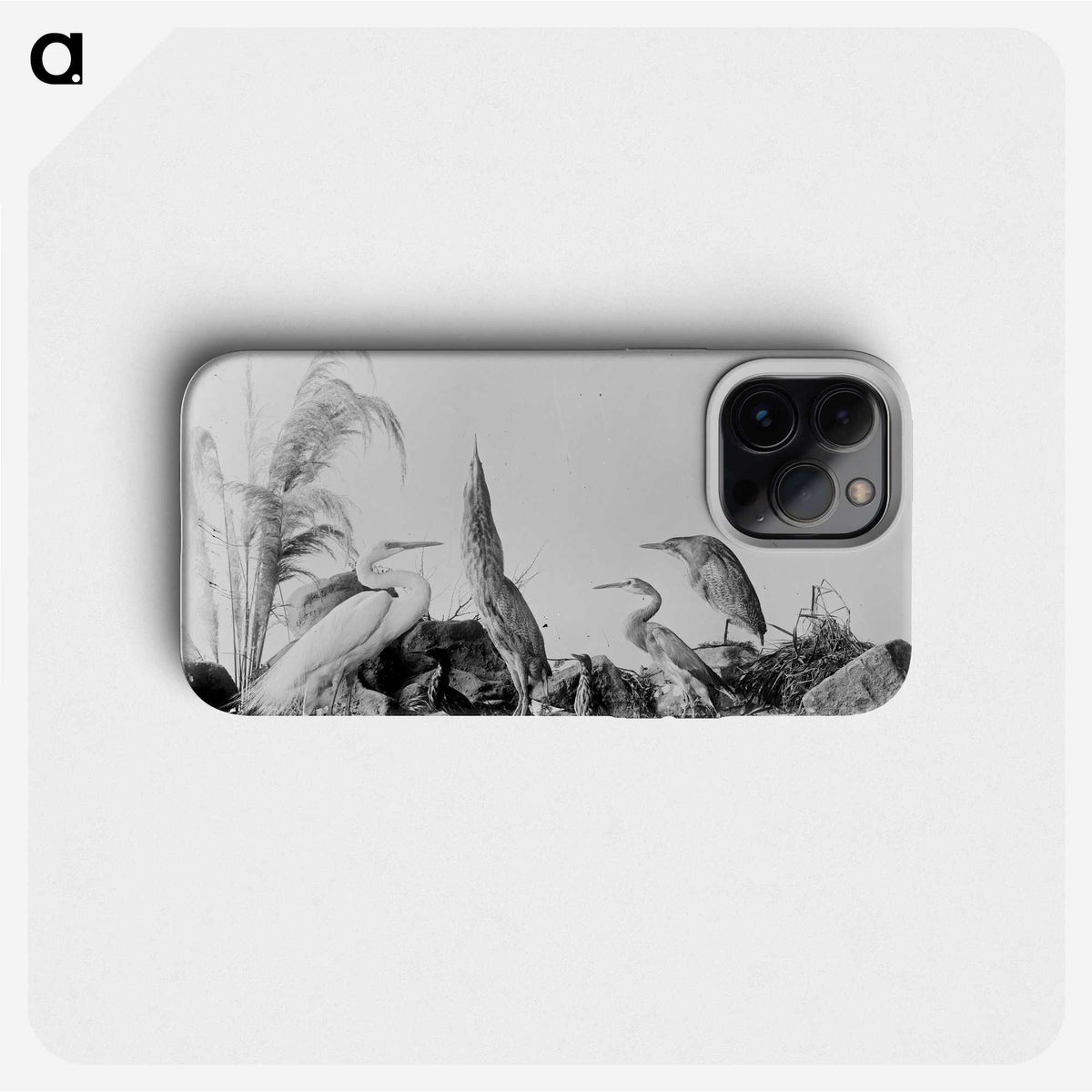 1-17_The-Burton-Brothers_phone