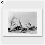 1-17_The-Burton-Brothers_picture