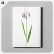 アートパネル-Iris Laevigata var. Albopurpurea
 - アヤメ属 Canvas.