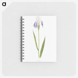 1-17_The-Genus-Iris_memo