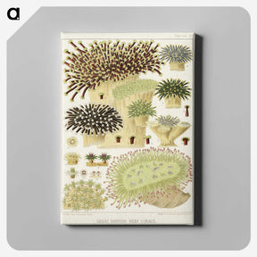 1-17_The-Great-Barrier-Reef-of-Australia_canvas
