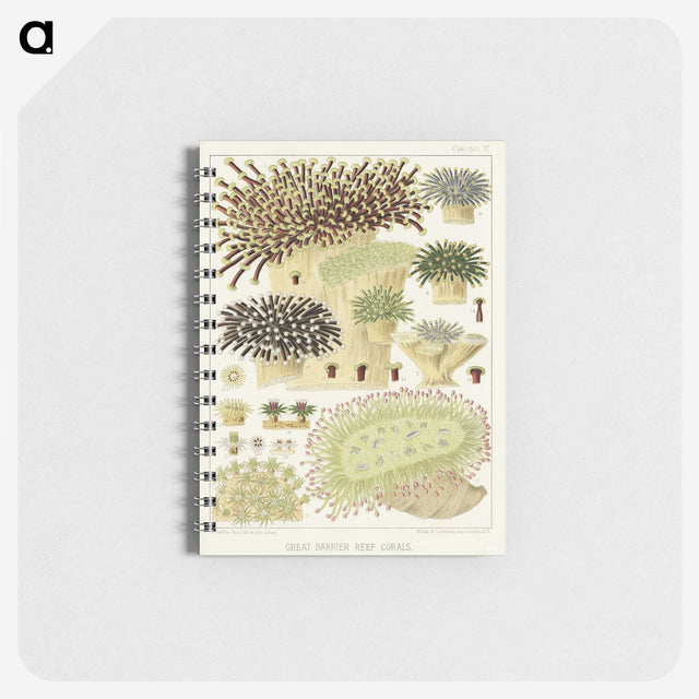 1-17_The-Great-Barrier-Reef-of-Australia_memo