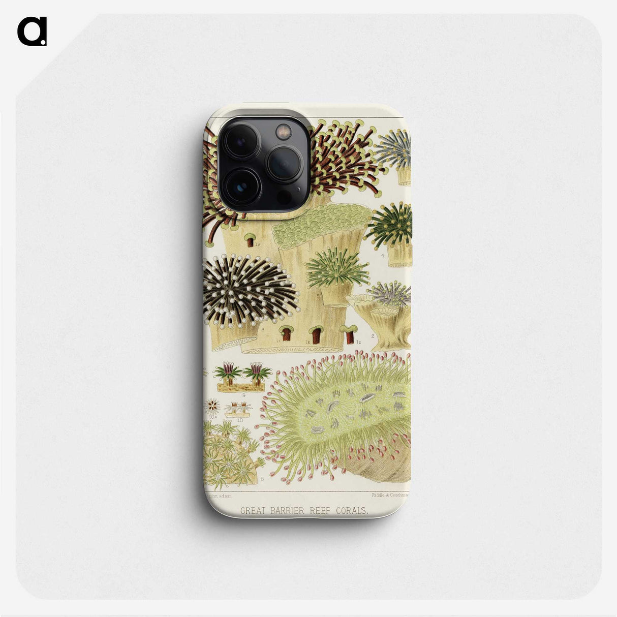 1-17_The-Great-Barrier-Reef-of-Australia_phone
